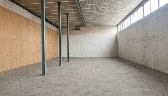 Lager- bzw. einfache Werkstatthalle 350m² mit 3 Stellplätzen in Lustenau, Vorarlberg!