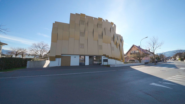 Luxuriöses Penthouse in Lustenau