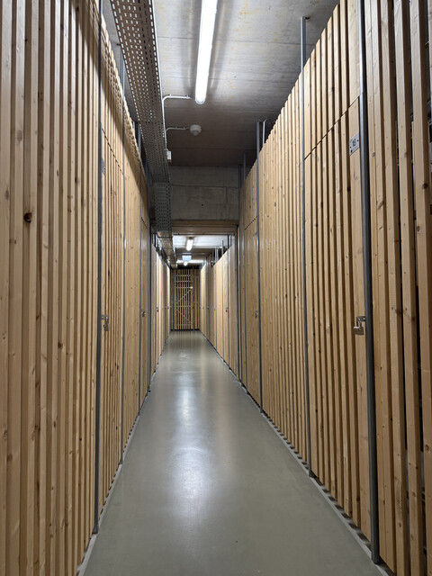 Sonnendurchflutete 2 Zimmer Wohnung zu vermieten 