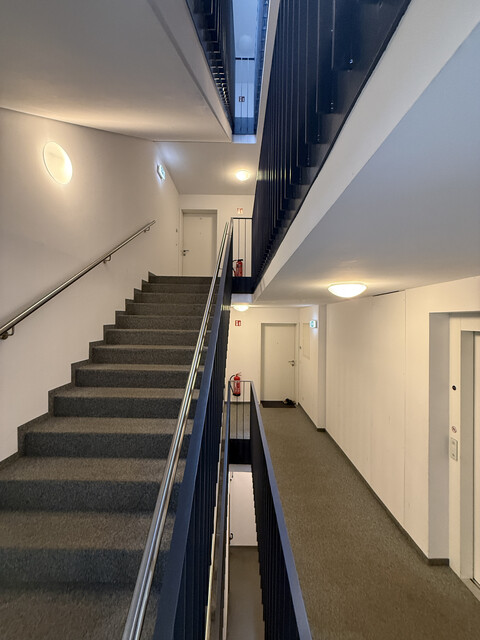 Sonnendurchflutete 2 Zimmer Wohnung zu vermieten 
