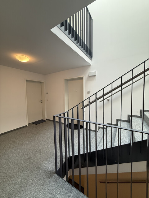 Sonnendurchflutete 2 Zimmer Wohnung zu vermieten 