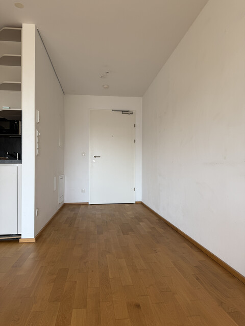 Sonnendurchflutete 2 Zimmer Wohnung zu vermieten 