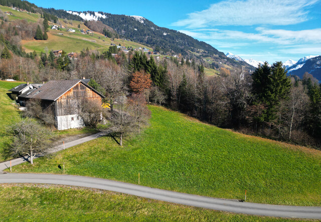Baugrundstück Lehenweg St. Gerold_GST 1