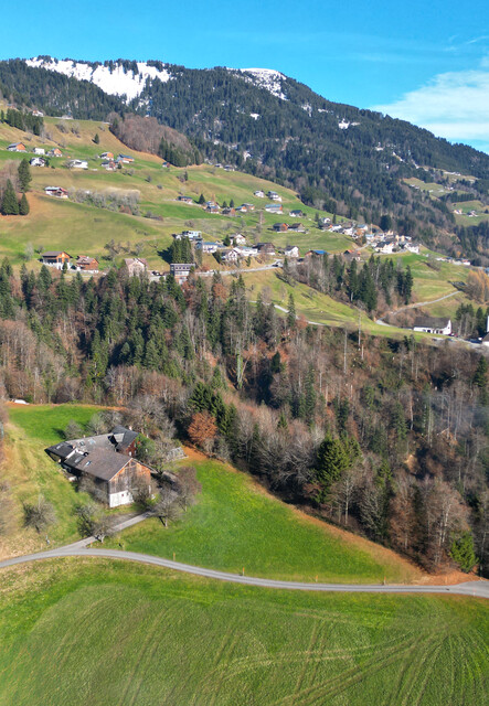 Baugrundstück Lehenweg St. Gerold_GST 1