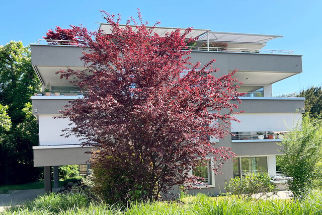 Naturnahes Wohnen im Herzen von Feldkirch: Sonnige 4-Zimmer-Gartenwohnung