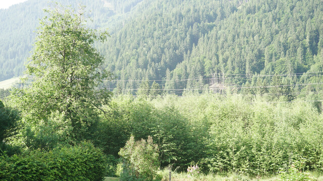 Großes Wohnhaus mit mehreren Appartements in St.Gallenkirch zu verkaufen 