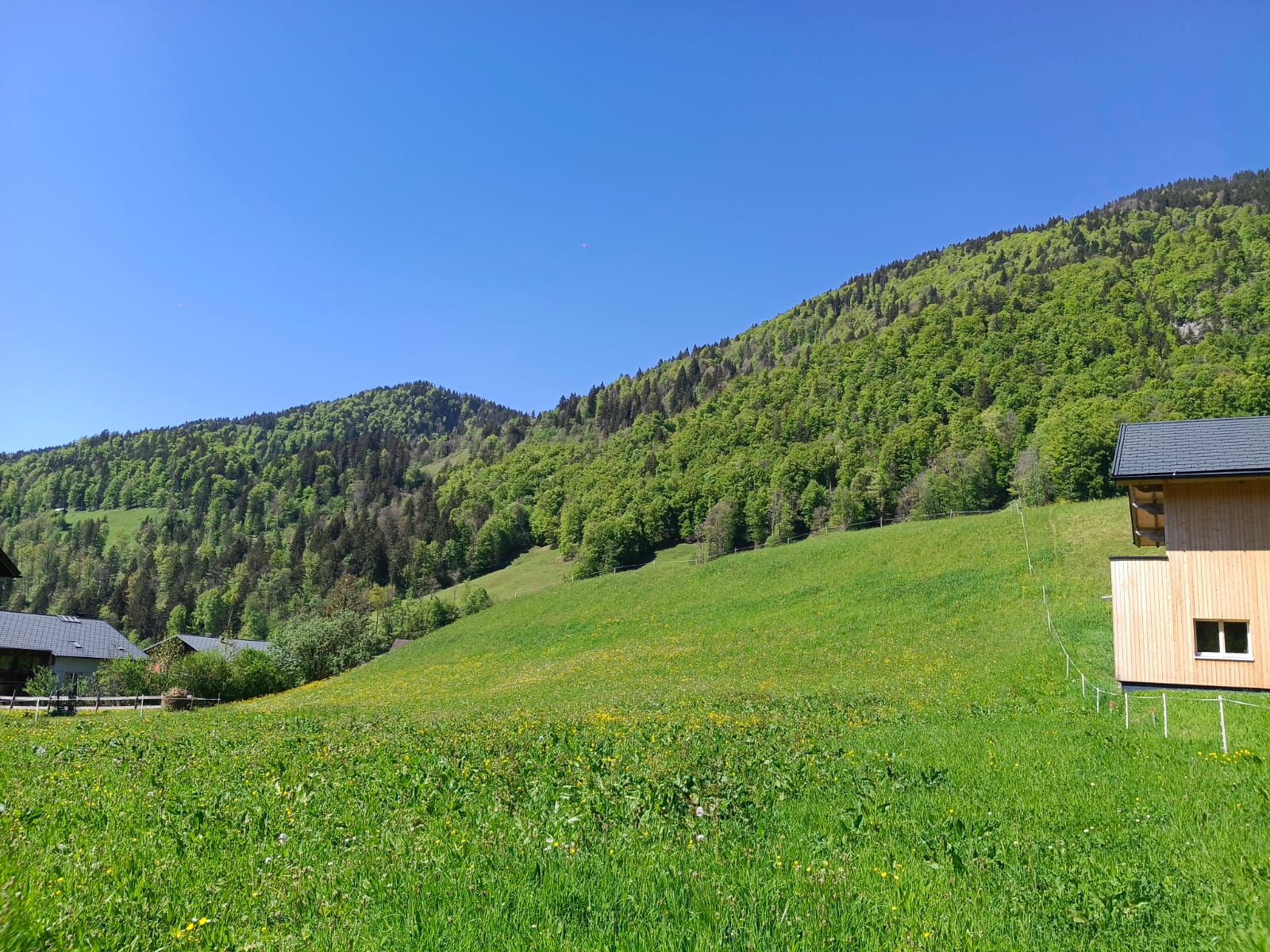 Sonniges Baugrundstück in Bezau zu verkaufen