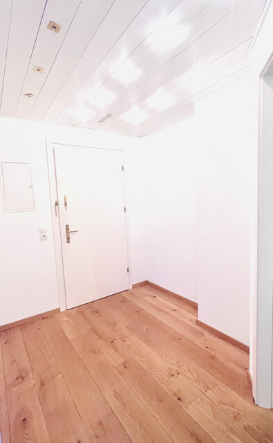 PROVISIONSFREIE, wunderschöne,  neu sanierte 5,5 ZI-Whg mit Balkon, Garten,TG, Nähe LKH Feldkirch, grenznah zu Liechtenstein / Schweiz