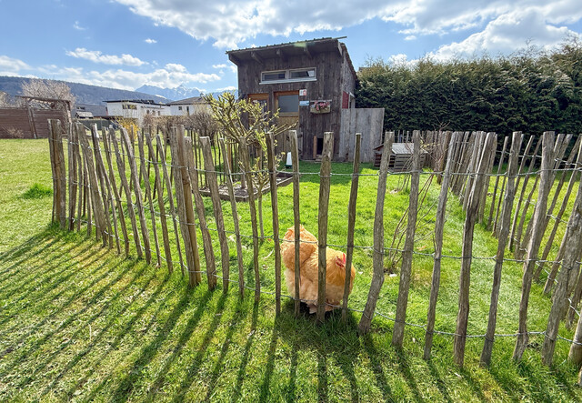 Imposantes Endreihenhaus mit großem Garten, viel Ruhe & Raum
