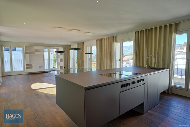 Exklusives Penthouse in Lustenau – Architektur, Design & Privatsphäre