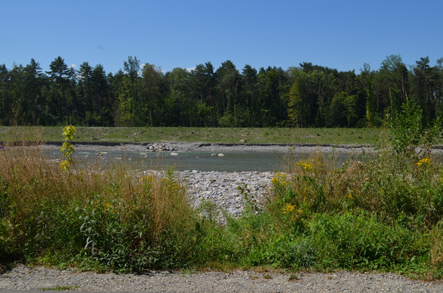Wohnungspaket mit spannendem Preis in Bregenz, Achsiedlung zu verkaufen (alle Wohnungen vermietet)