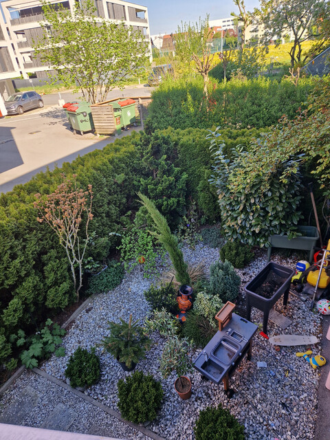 Modernisierte DHH: Perfekt angebunden an die Bregenzer Innenstadt, ruhig und grün im Wohngebiet Rieden, provisionsfrei direkt von uns!