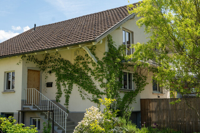 Modernisiertes Einfamilienhaus in Hard mit schönem Garten
