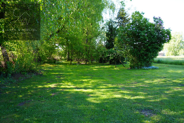 Rare Gelegenheit: Grundstück mit Riedhütte in Fußach zu verkaufen