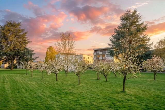 Sonniges Baugrundstück in Wolfurt