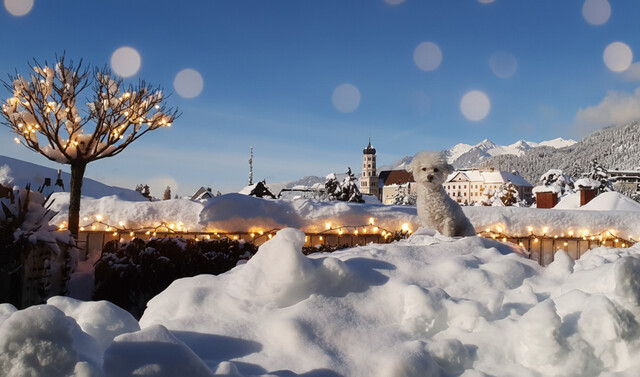 Exklusive Penthouse-Maisonette mit 100 m² Dachterrasse und Alpenpanorama!