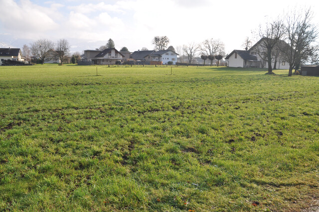 Grundstück mit einer Fläche von 1.000 bis 1.200m2 in bester Lage in Meiningen, auch teilbar, zu verkaufen