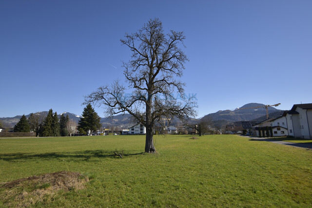 Baugrundstück in schöner Wohngegend!