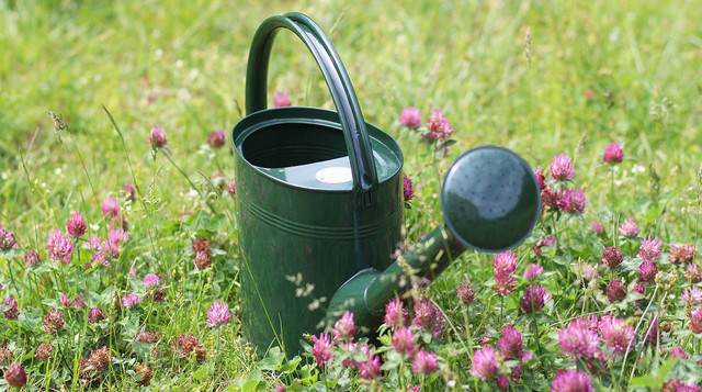 Top 08 Haus 2 bezugsfertig  |  Tolle 2-Zimmer-Eck-Garten-Whg. Marienstraße 10 + 10a in Feldkirch-Gisingen zu verkaufen!