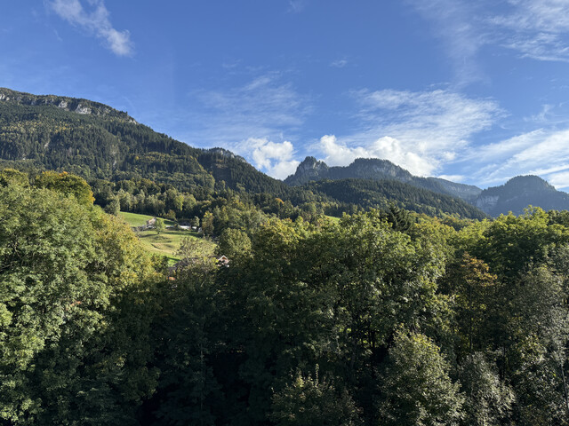 Haus mit Scheune und viel Potenzial / 950m2 Grundstück in Hohenems 