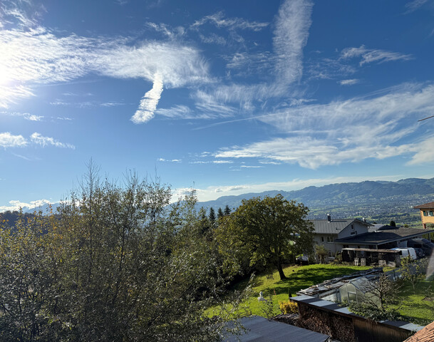 Haus mit Scheune und viel Potenzial / 950m2 Grundstück in Hohenems 