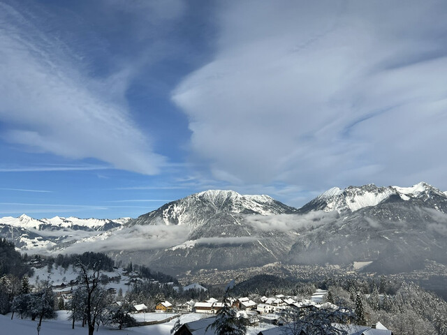 Chalet mit Ferienwohnsitz, Variante 1