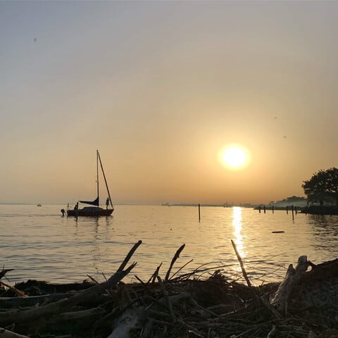 Wohnen am Bodensee: 3Zimmer Gartenwohnung in Toplage nur etwa 150 Meter vom Bodenseeufer – 3 Zi. Garten Wohnung