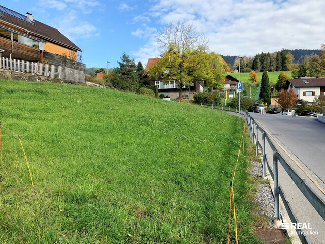 Sonnenplatz fürs Zuhause - finden Sie zu Ihrer Ruhe