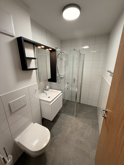 Neubau-Wohnung  voll möbliert mit Balkon und Keller zur Miete (Top 204)