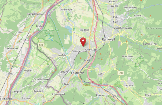 Stilvolle Wohnung mit sonniger Terrasse in Feldkirch-Altenstadt!