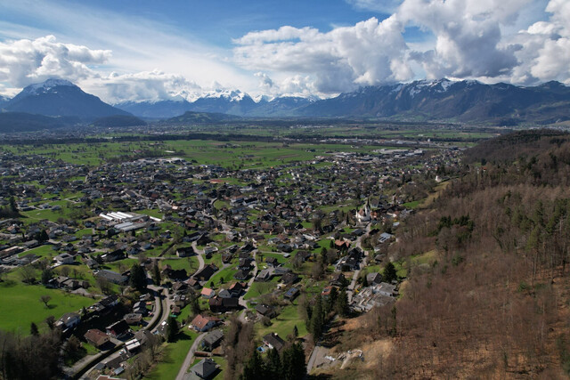 Einfamilienhaus / Studie in Hanglage mit idyllischem Ausblick und Wald in Klaus