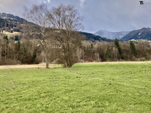 Nenzing Heimat - Grenze zu Frastanz: Sonniges Grundstück 600 m2 – unverbaubare Aussicht inklusive