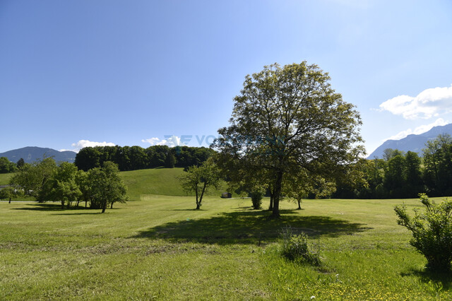 Seltene Gelegenheit in Gampelün!