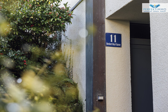 Historischer Blick, modernes Wohnen – Maisonette an der Oberstadt