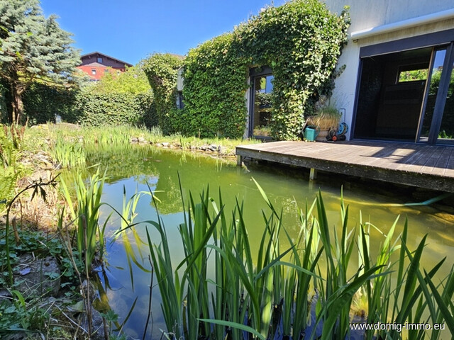 Eine Wohlfühloase in Mitten der feldkircher Bergwelt, Einfamilienhaus mit Wellnessbereich und schönem Garten!