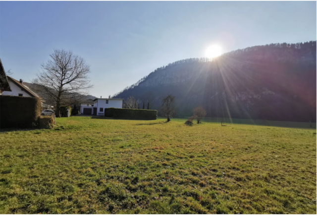 Idyllische Naturlage in Götzis