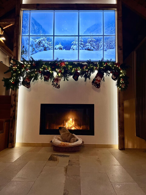 VINUM - LODGE DORNBIRN