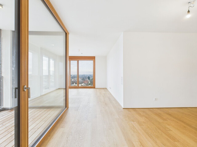 Helle, großzügige 2-Zimmer-Wohnung mit einmaligem Blick übers Rheintal