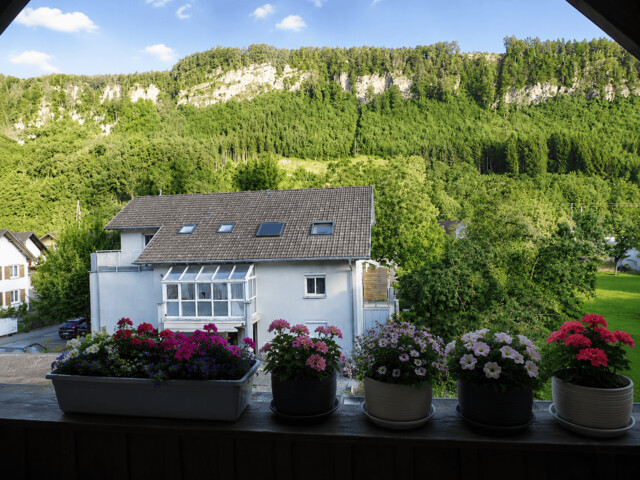 Gepflegte 3-Zimmer-Dachgeschosswohnung in Feldkirch