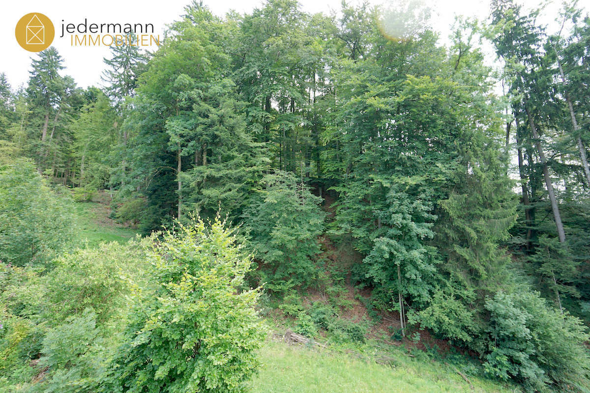 !! VERGEBEN !! DORNBIRN: Elegantes, stilvolles Haus in Hanglage!