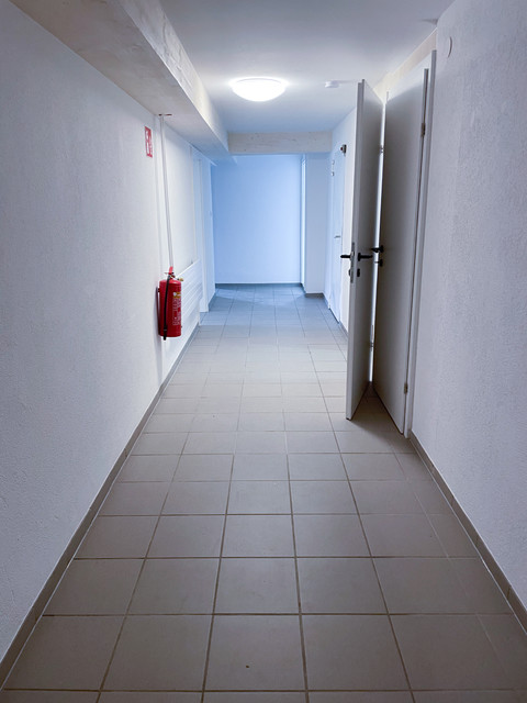 Renovierte Wohnung in ruhiger Lage mit tollem Garten und Garage