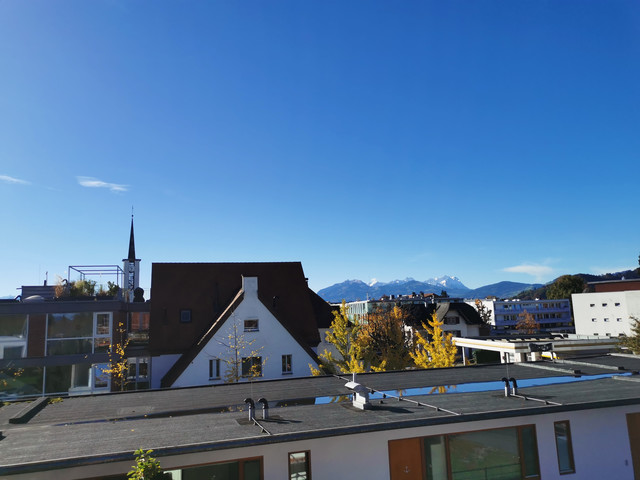 Charmante 3 Zi. Dachwohnung, zentral im Herzen Lustenaus