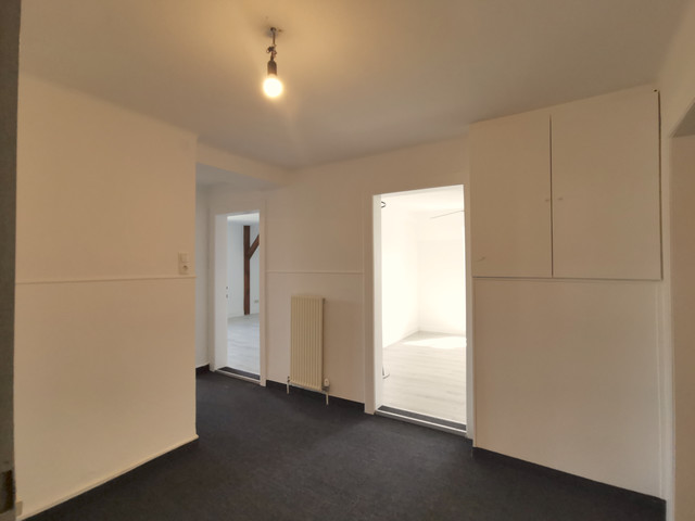Charmante 3 Zi. Dachwohnung, zentral im Herzen Lustenaus
