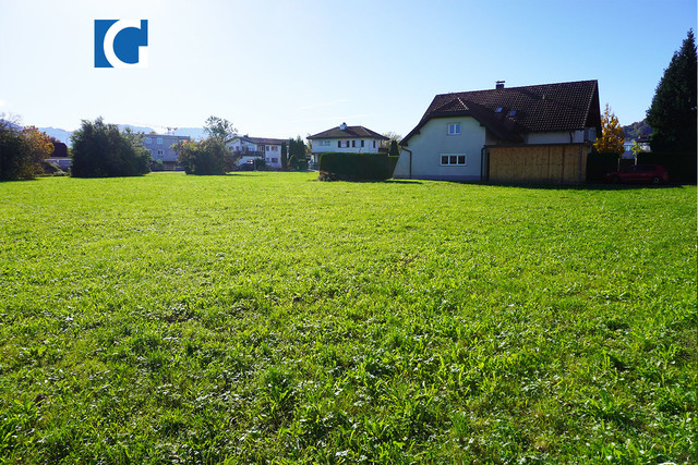 Wohnen im Grünen: Schönes Grundstück in Fußach