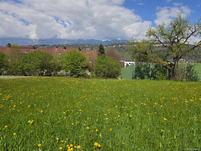 Exklusives Baugrundstück, 942m² mit Panoramablick auf die Schweizer Bergwelt – Nähe Liechtenstein