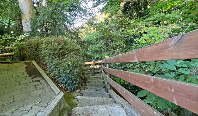 Exklusivstes Grundstück am Pfänderhang