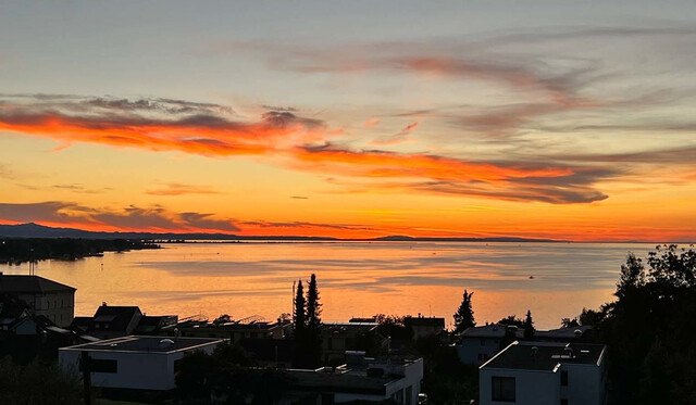 Exklusivstes Grundstück am Pfänderhang