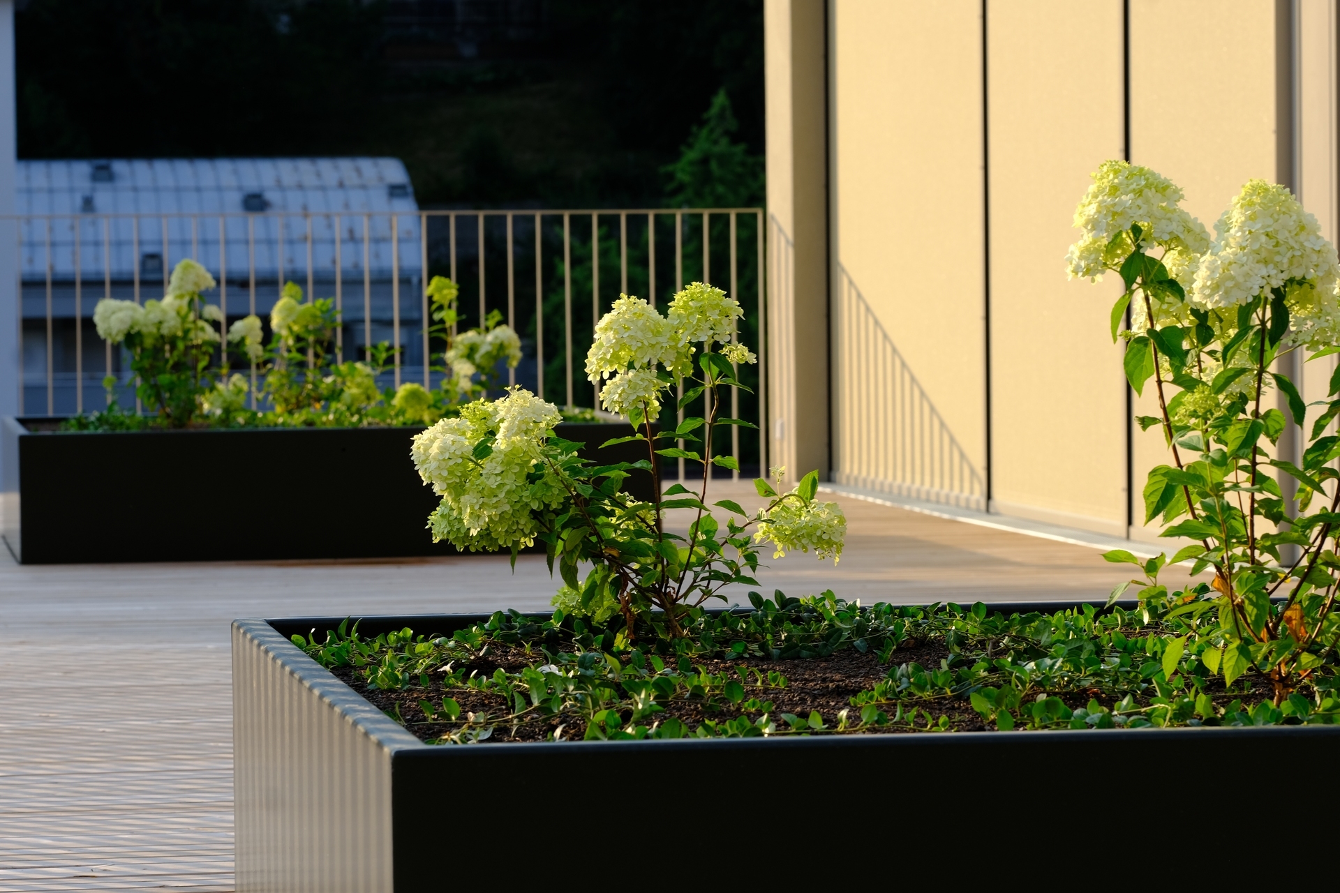 Moderne und hochwertige Penthouse-Wohnung mit Loggia und großer Terrasse