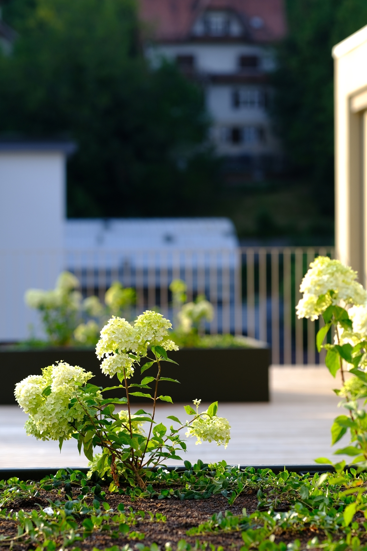 Moderne und hochwertige Penthouse-Wohnung mit Loggia und großer Terrasse