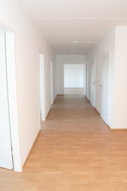 Lichtdurchflutete 4-Zimmer-Wohnung mit Loggia in Wiener Neudorf